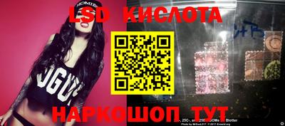 стаф Сланцы
