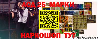 стаф Сланцы