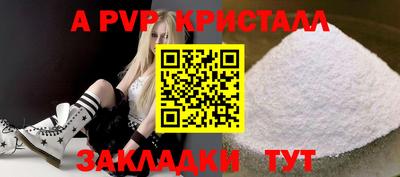 стаф Сланцы