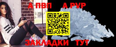 стаф Сланцы