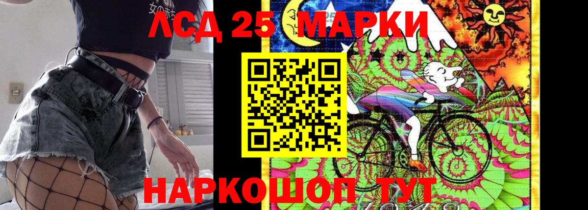 Псилоцибиновые грибы Сибай