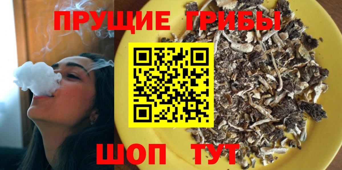 Галлюциногенные грибы прущие грибы  Вход с VPN  Псилоцибиновые грибы Cubensis  Сибай 