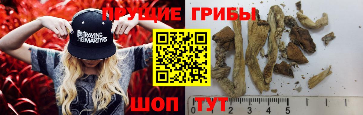 Псилоцибиновые грибы MAGIC MUSHROOMS Сибай